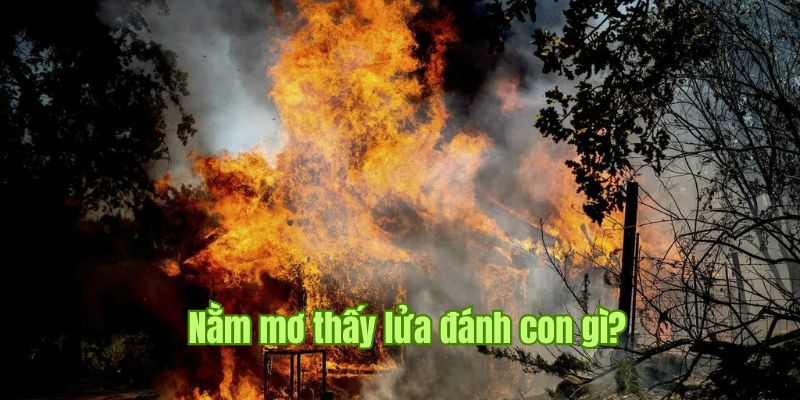 Nằm Mơ Thấy Lửa Giải Mã Những Điềm Báo Chiêm Bao Từ Sin88 3 Tổng hợp những con số may mắn khi nằm mơ thấy lửa từ Sin88