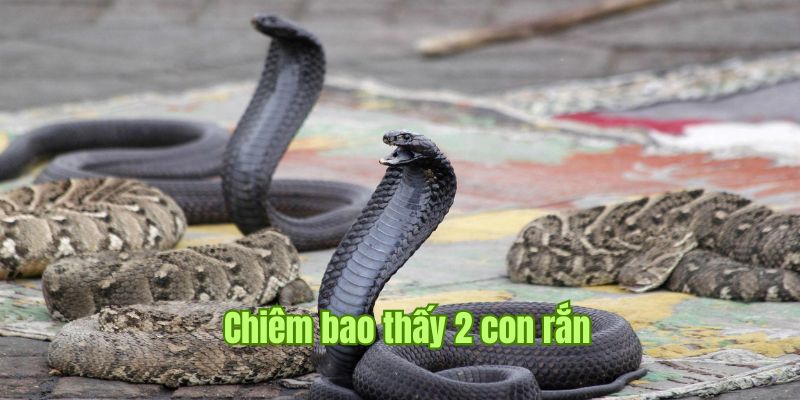 Nằm Mơ Thấy Rắn Có Tốt Không? Số May Mắn Nến Đánh Nhất Sin88 2 Nằm mơ thấy thấy rắn đi theo cặp