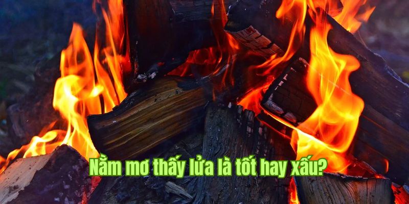Nằm Mơ Thấy Lửa Giải Mã Những Điềm Báo Chiêm Bao Từ Sin88 1 Phân tích hình ảnh ngọn lửa theo nhiều khía cạnh